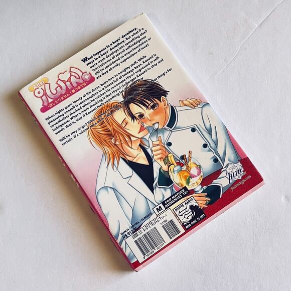 After I Win Kaname Itsuki Yaoi Manga June DMP Graphic Novel Soft Cover - Picture 5 of 5